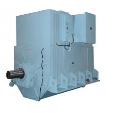 HYUNDAI ELECTRIC 水冷高壓同步發(fā)電機(jī)1系列
