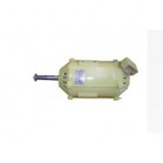 LEROY SOMER 鐵路應(yīng)用的三相感應(yīng)電機(jī)FS系列