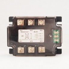 LDG 聯(lián)鎖式電機(jī)正反轉(zhuǎn)控制模塊RR2I4015系列